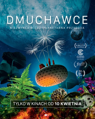Plakat wydarzenia:  DMUCHAWCE 